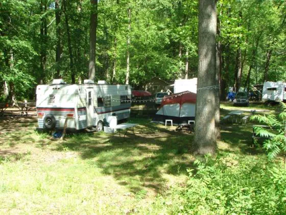 Council Cup Campground Picture 5