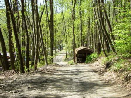 Council Cup Campground Picture 3