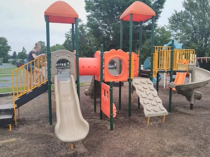 Mountain Springs Camping Resort Picture 6