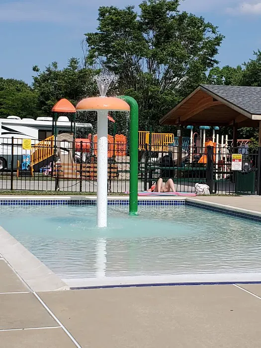 Mountain Springs Camping Resort Picture 2