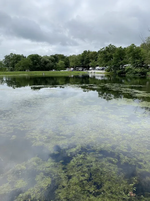 Mountain Springs Camping Resort Picture 4