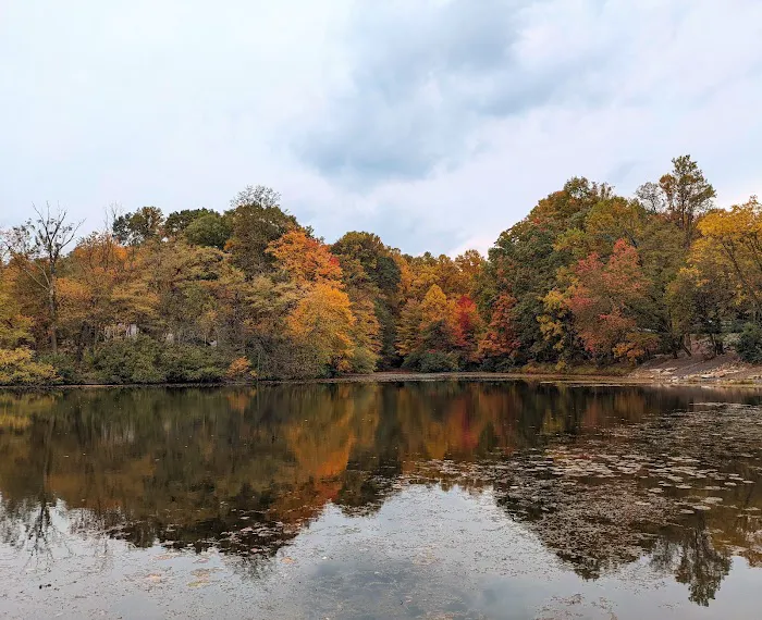 Mountain Springs Camping Resort Picture 8