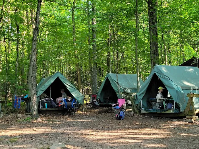 Cacoosing Campsite Picture 2