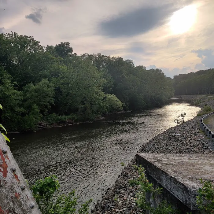 Quinta Las Cabanas Grove Picture 10