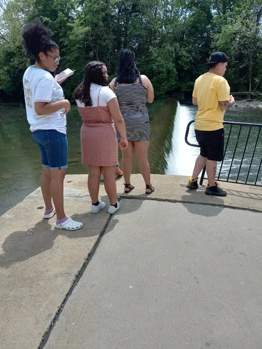 Quinta Las Cabanas Grove Picture 3