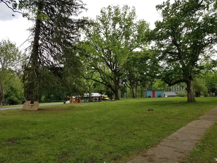 Quinta Las Cabanas Grove Picture 2