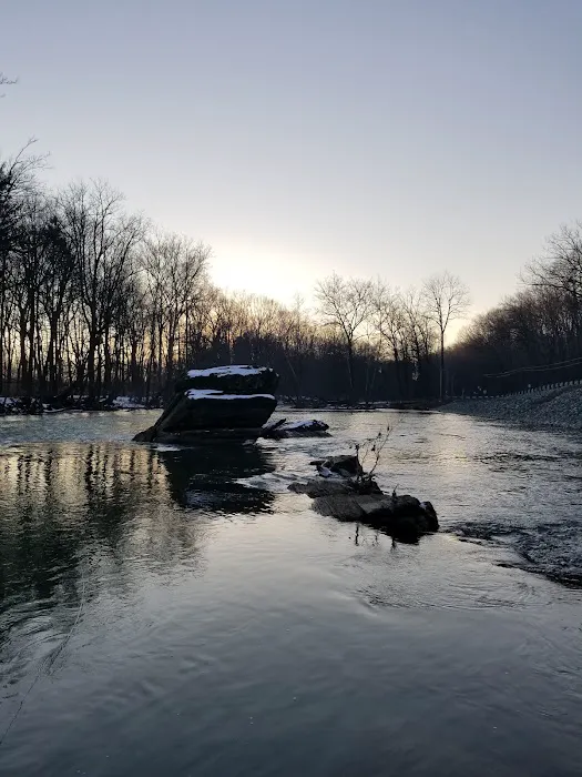 Quinta Las Cabanas Grove Picture 9