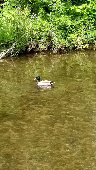 Lazy-K Campground Inc Picture 6