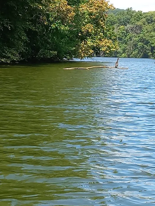Muddy Run Park Picture 1