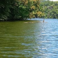 Muddy Run Park ico