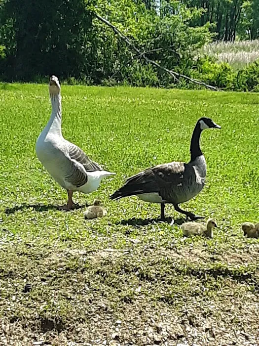 Muddy Run Park Picture 8