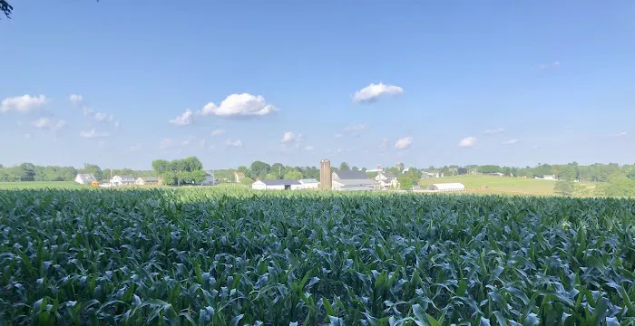 Hobo Hollow Campground Picture 6