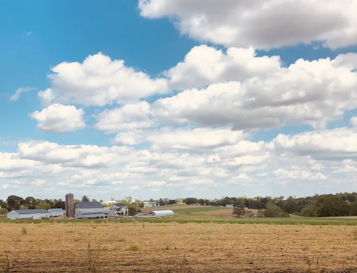 Hobo Hollow Campground Picture 7