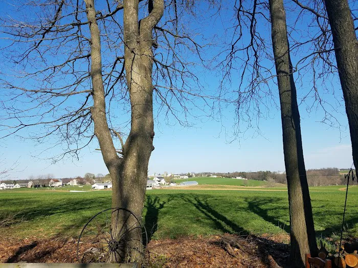 Hobo Hollow Campground Picture 8