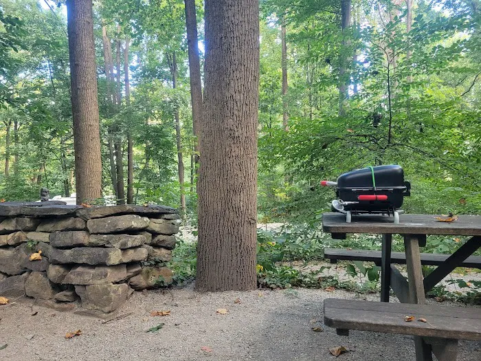 The Loose Caboose Campground Picture 9