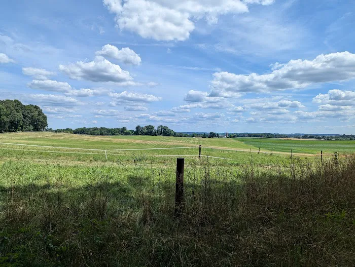 The Loose Caboose Campground Picture 5