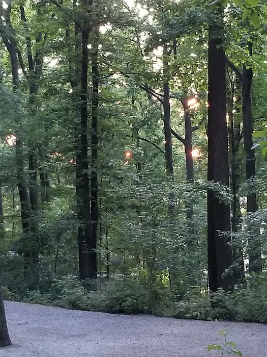 The Loose Caboose Campground Picture 3