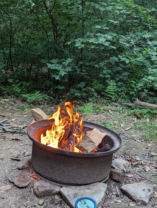 The Loose Caboose Campground Picture 6