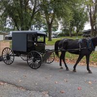 Old Mill Stream Campground ico