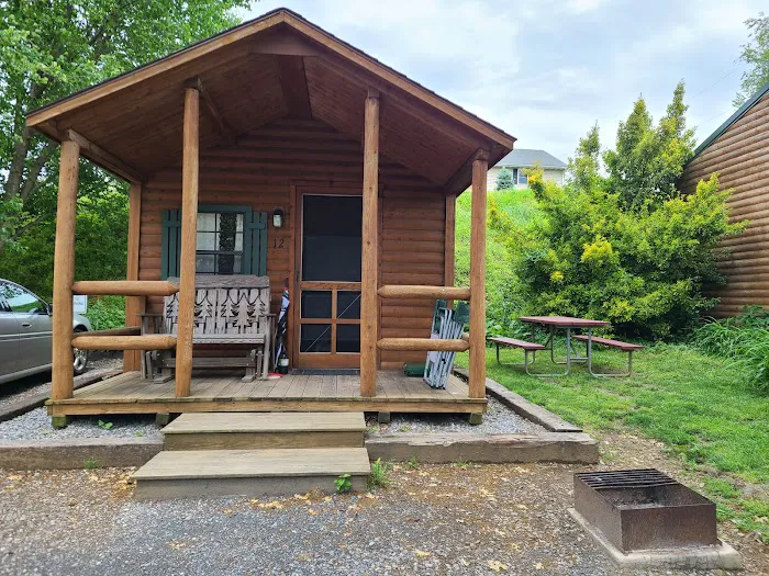 Beacon Hill Camping Picture 6