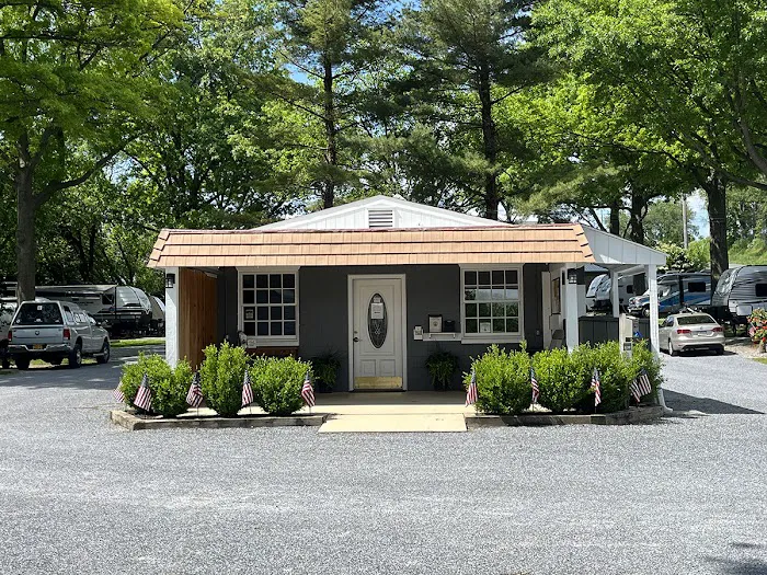 Beacon Hill Camping Picture 1