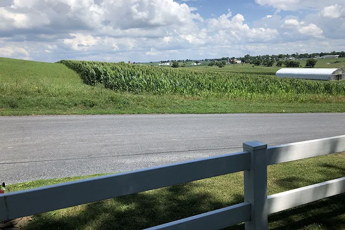 Beacon Hill Camping Picture 5