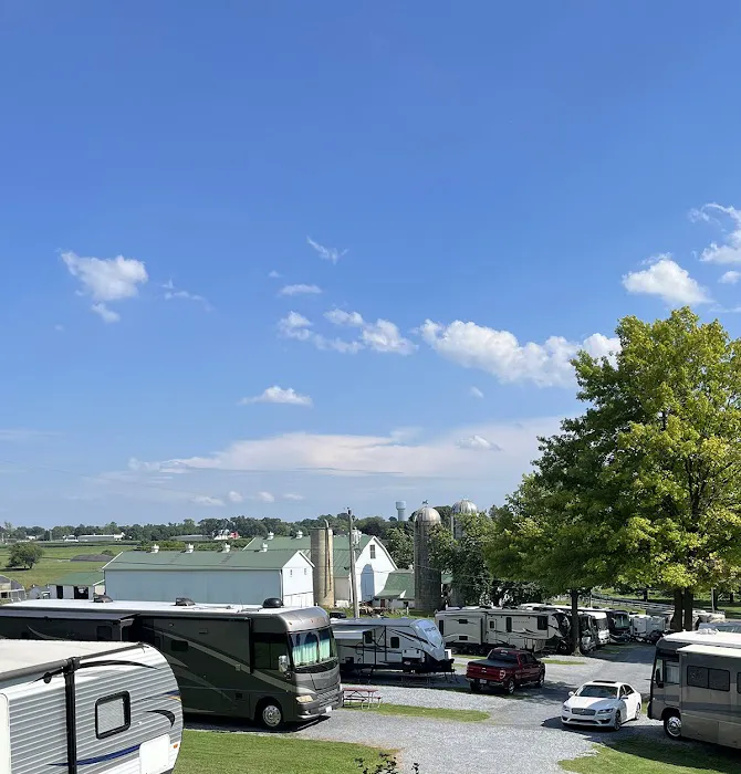 Beacon Hill Camping Picture 8