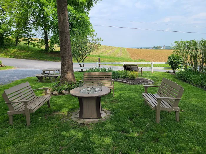 Beacon Hill Camping Picture 2