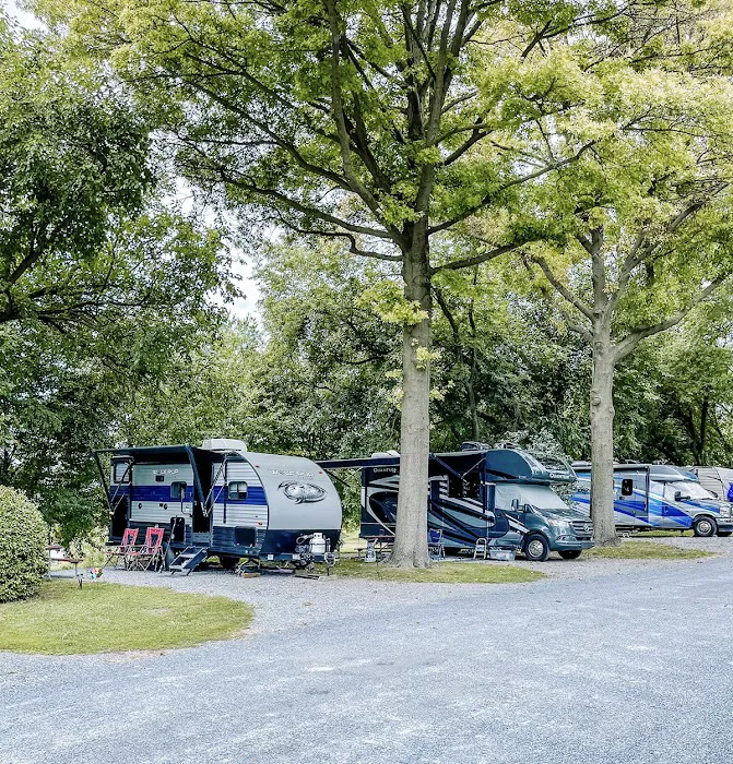 Beacon Hill Camping Picture 9