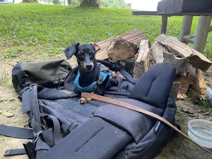 Mill Creek Camping Area Picture 9