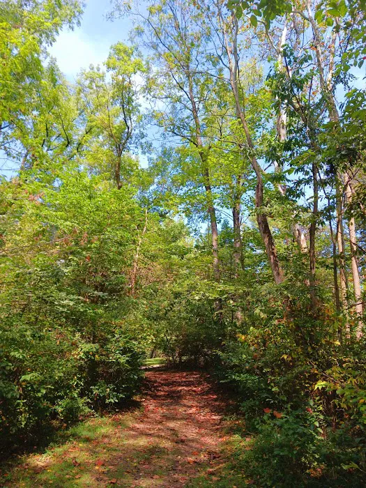 Mill Creek Camping Area Picture 6