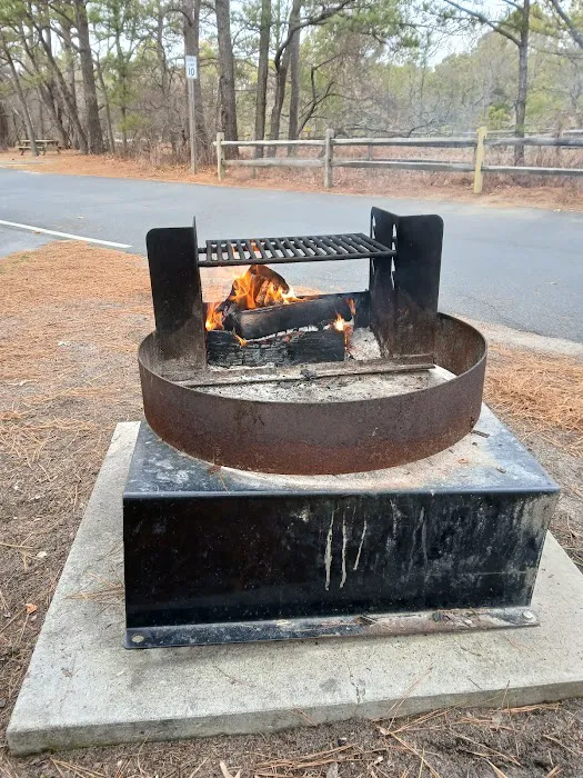 Camp Henlopen Cabin Area Picture 5