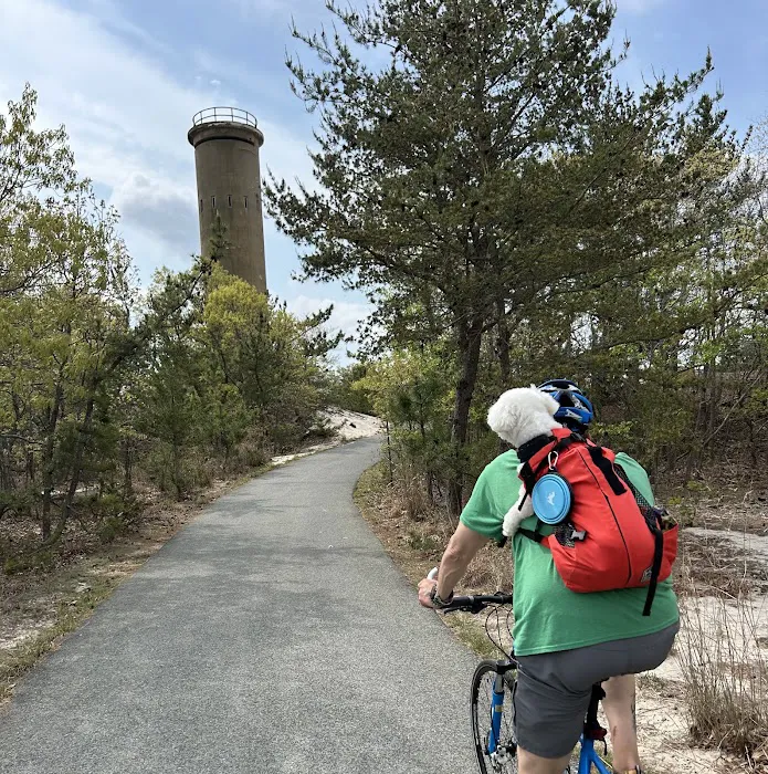 Camp Henlopen Cabin Area Picture 1