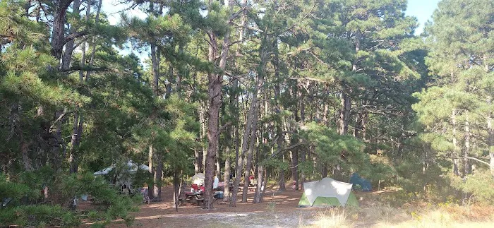 Group Campsites Picture 2