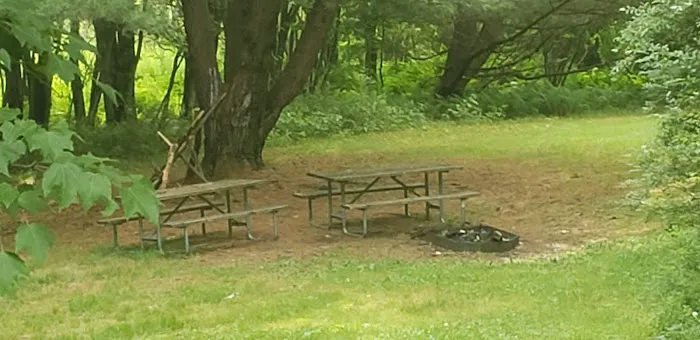 The Oquaga Cabin Picture 4