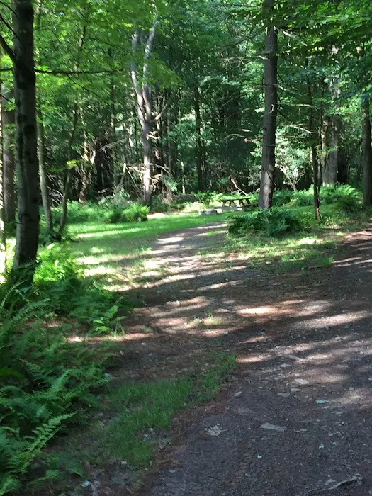 Valley View Walking Trails Picture 2