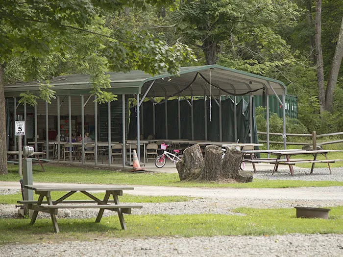 Rustic Creek Family Campground Picture 8