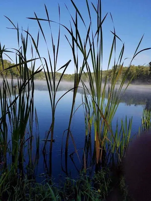 Stony Mountain Family Campground Picture 6