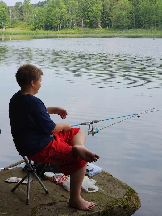 Stony Mountain Family Campground Picture 2