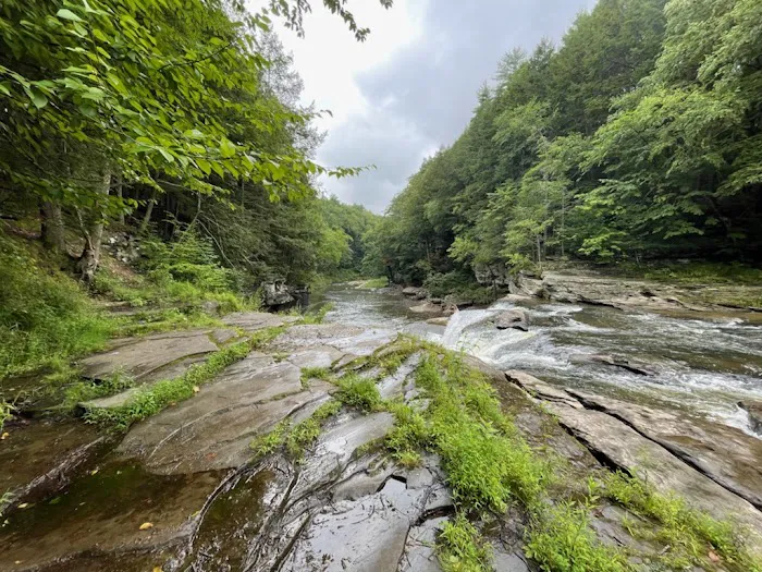 Slumber Valley Campground Picture 2