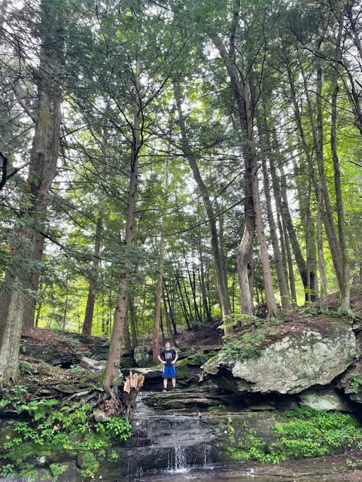 Slumber Valley Campground Picture 1