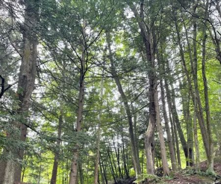 Slumber Valley Campground