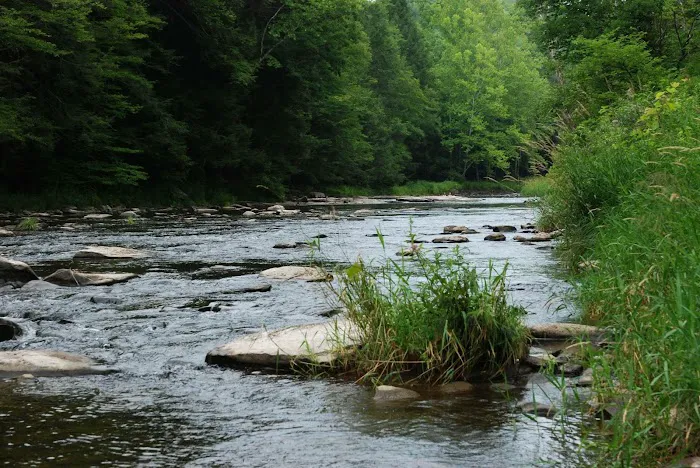 Slumber Valley Campground Picture 10