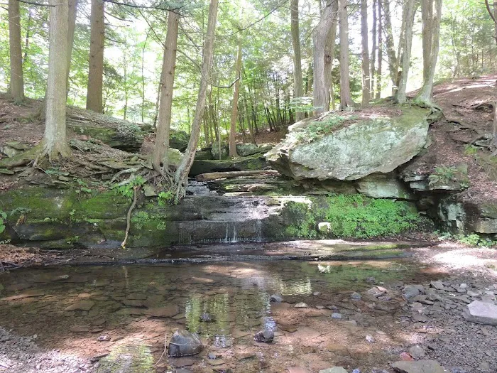 Slumber Valley Campground Picture 5