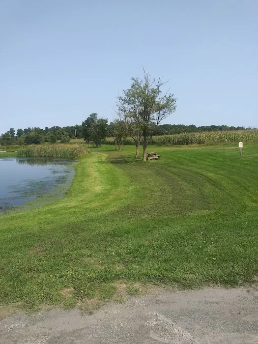 How Kola Campground Picture 6