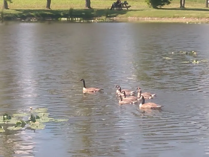 How Kola Campground Picture 9