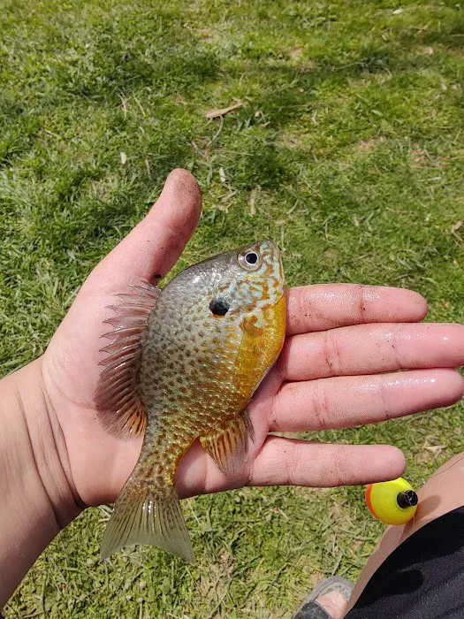 How Kola Campground Picture 4