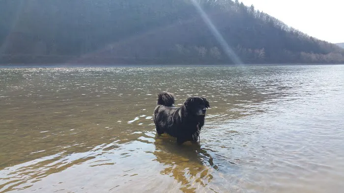 Susquehanna Shores Campground Picture 5