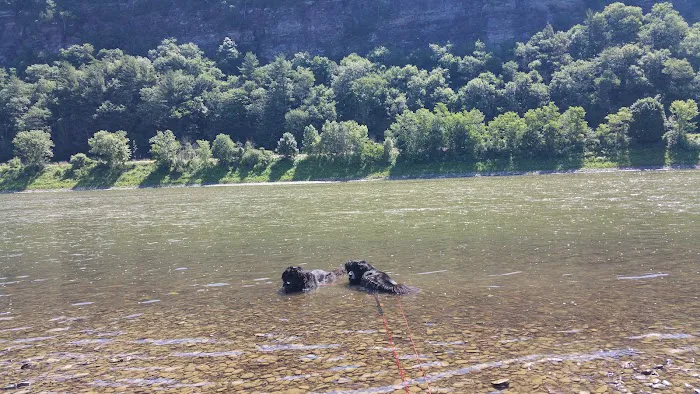 Susquehanna Shores Campground Picture 10