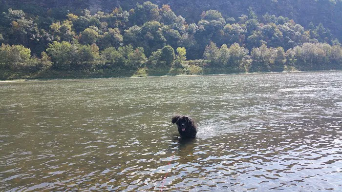 Susquehanna Shores Campground Picture 9